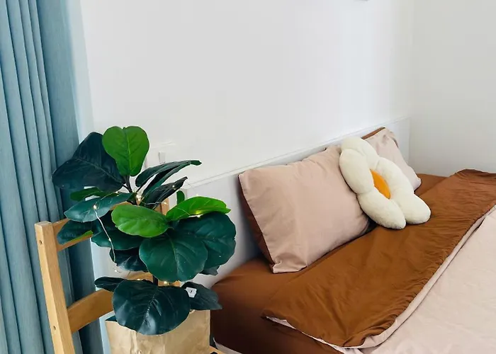Căn hộ Hải đăng Căn Hộ 1pn Rộng Phù Hợp Cho 2-5 Người